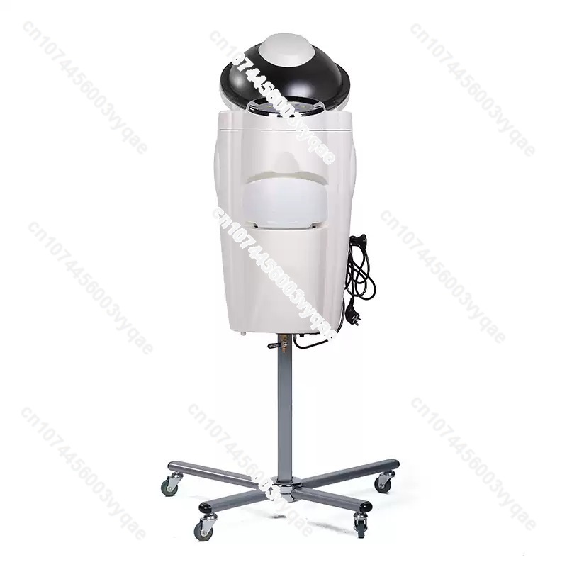 Oil Treatment Ozone Micro Mist - Hair Care In Salon ulasan dan harga