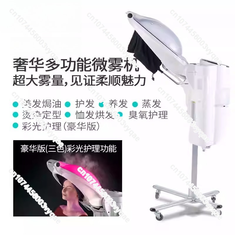 Oil Treatment Ozone Micro Mist - Hair Care In Salon ulasan dan harga